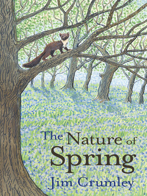 cover image of The Nature of Spring